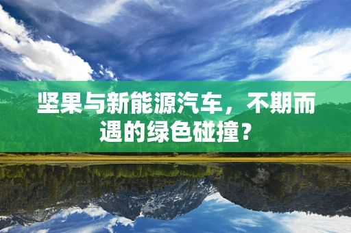 坚果与新能源汽车，不期而遇的绿色碰撞？
