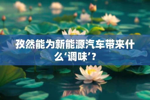 孜然能为新能源汽车带来什么‘调味’？