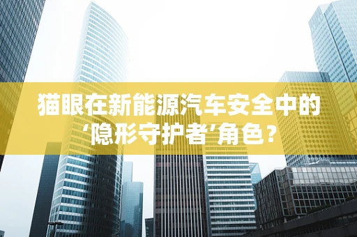猫眼在新能源汽车安全中的‘隐形守护者’角色？