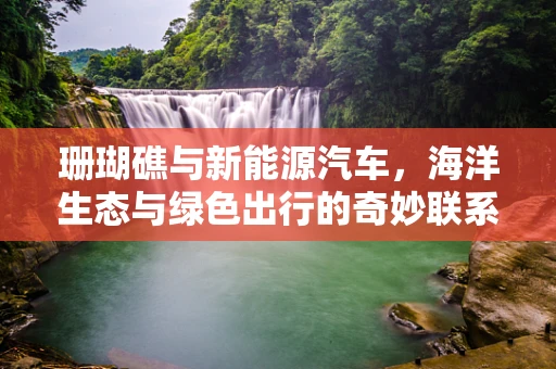 珊瑚礁与新能源汽车，海洋生态与绿色出行的奇妙联系