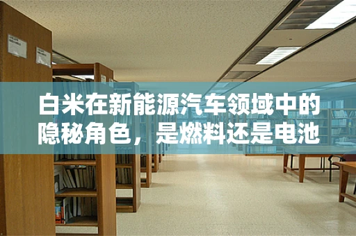 白米在新能源汽车领域中的隐秘角色，是燃料还是电池的未来？