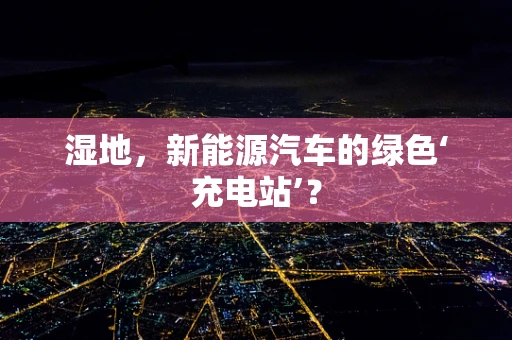 湿地，新能源汽车的绿色‘充电站’？