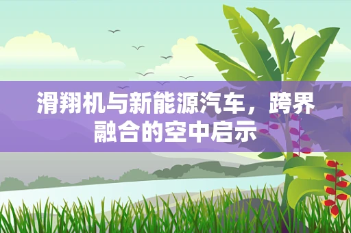 滑翔机与新能源汽车，跨界融合的空中启示