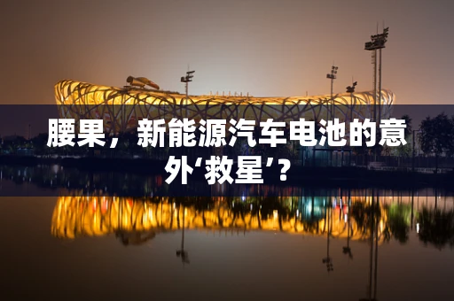 腰果，新能源汽车电池的意外‘救星’？