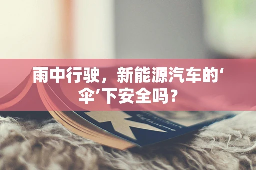 雨中行驶，新能源汽车的‘伞’下安全吗？
