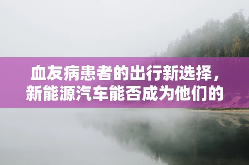 血友病患者的出行新选择，新能源汽车能否成为他们的‘安全港’？