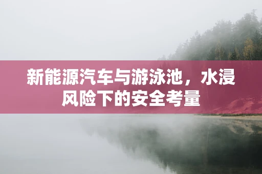 新能源汽车与游泳池，水浸风险下的安全考量