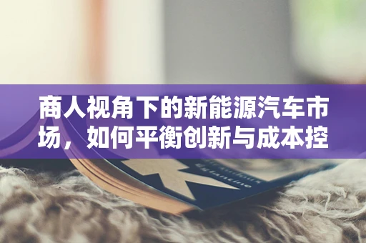 商人视角下的新能源汽车市场，如何平衡创新与成本控制？