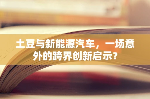 土豆与新能源汽车，一场意外的跨界创新启示？