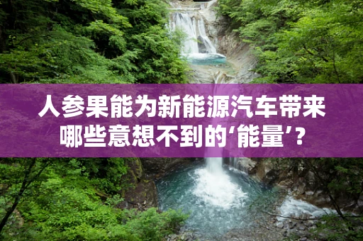 人参果能为新能源汽车带来哪些意想不到的‘能量’？