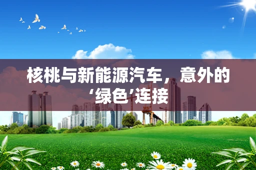核桃与新能源汽车，意外的‘绿色’连接