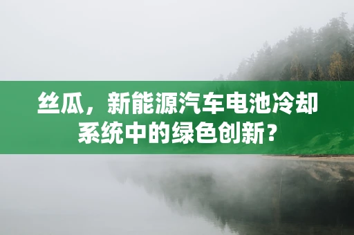 丝瓜，新能源汽车电池冷却系统中的绿色创新？