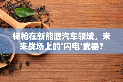 标枪在新能源汽车领域，未来战场上的‘闪电’武器？