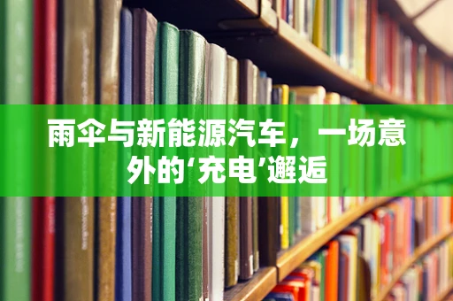 雨伞与新能源汽车，一场意外的‘充电’邂逅