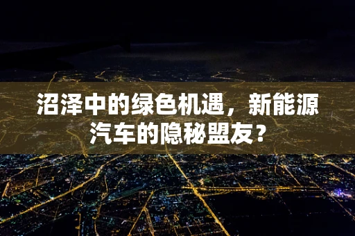 沼泽中的绿色机遇，新能源汽车的隐秘盟友？
