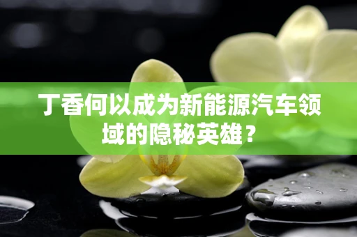 丁香何以成为新能源汽车领域的隐秘英雄？