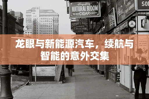 龙眼与新能源汽车，续航与智能的意外交集