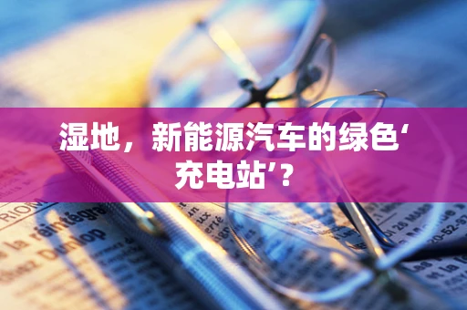 湿地，新能源汽车的绿色‘充电站’？